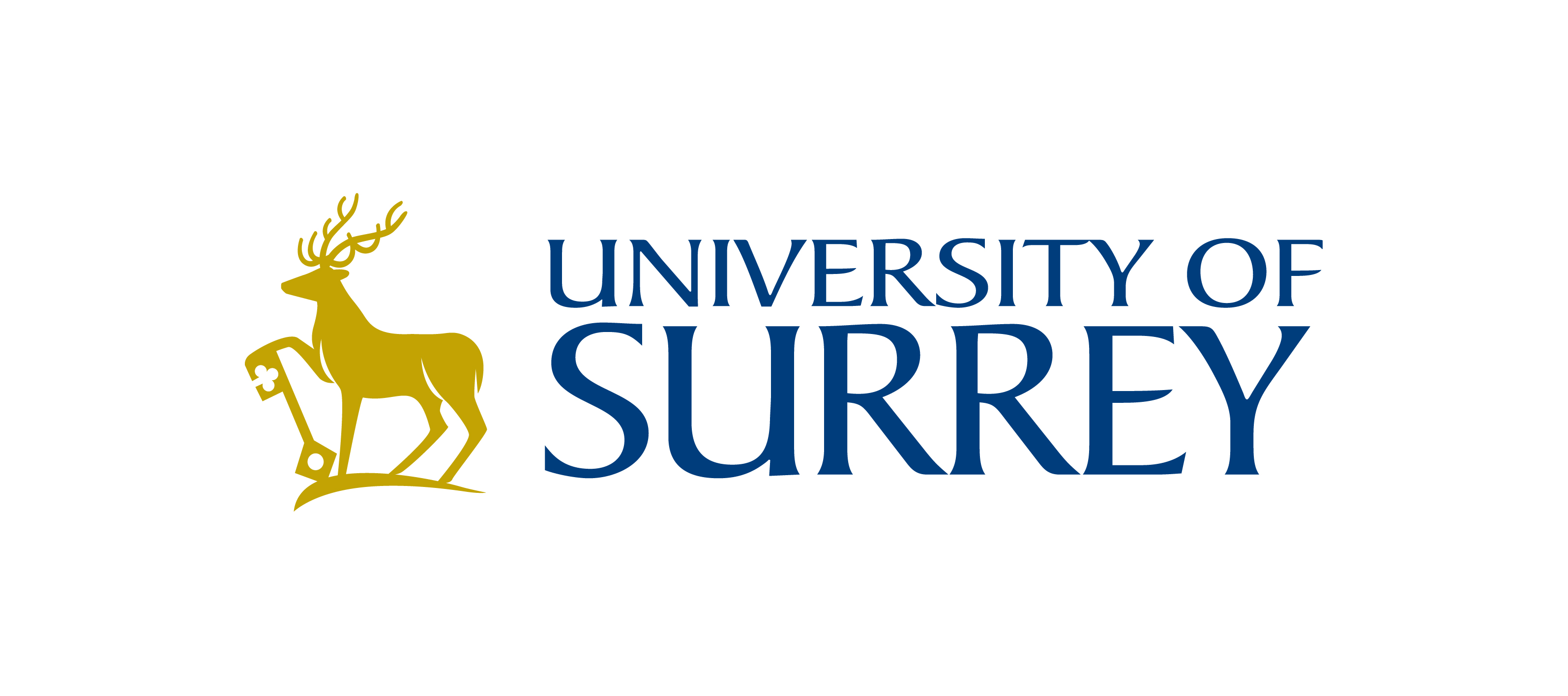 UNIVERSITY OF SURREY