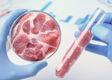 Cultured meat: cultured beef